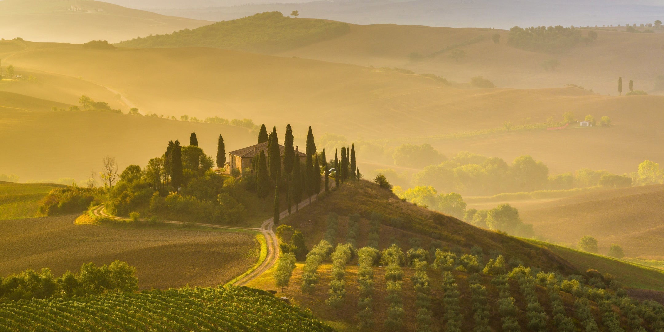 Zachys Cellar School: Super Tuscan Night - Which One Doesn't Belong?