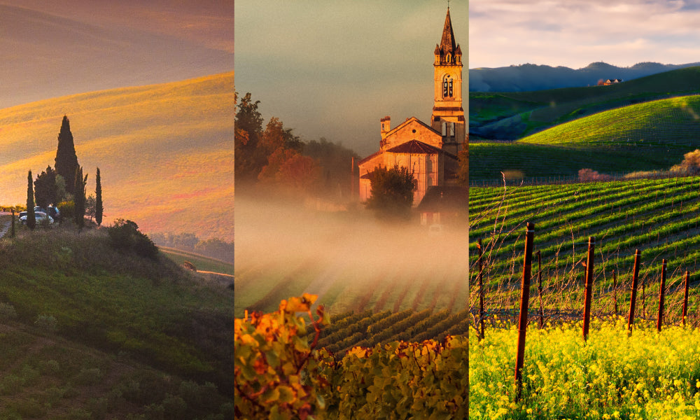 Passport Pour: An Italy vs. France vs. USA Tasting