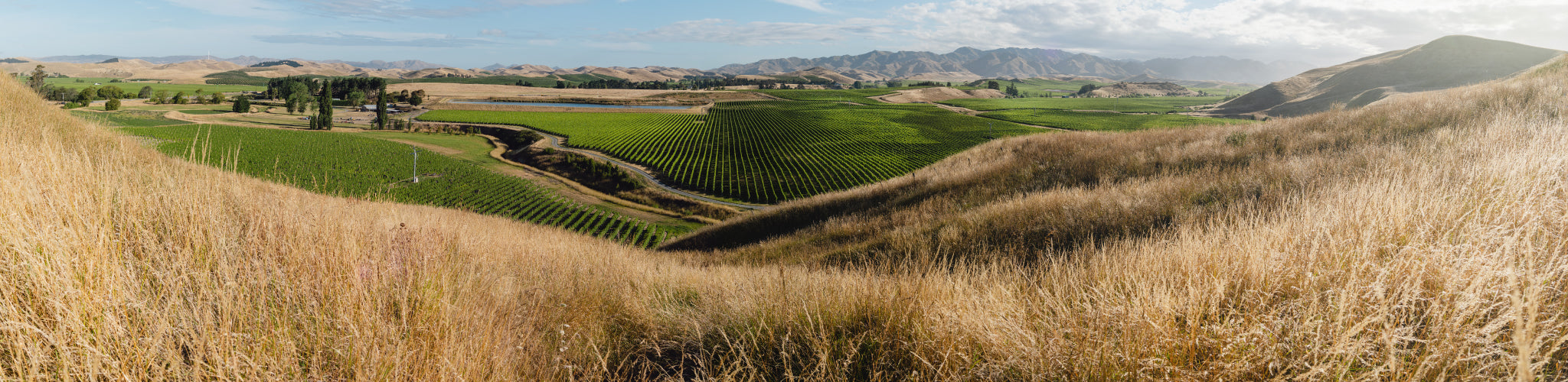 New Zealand