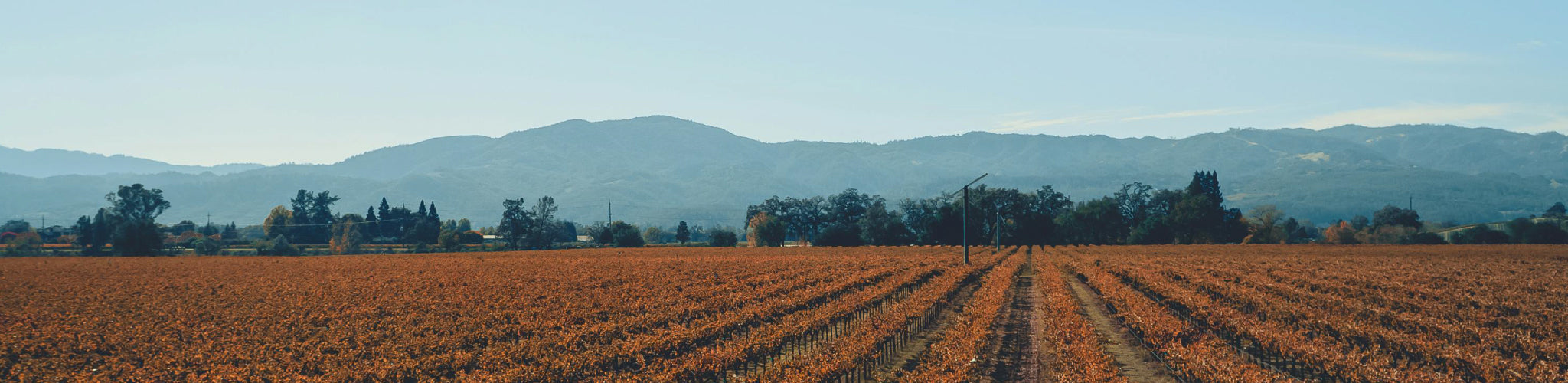 California