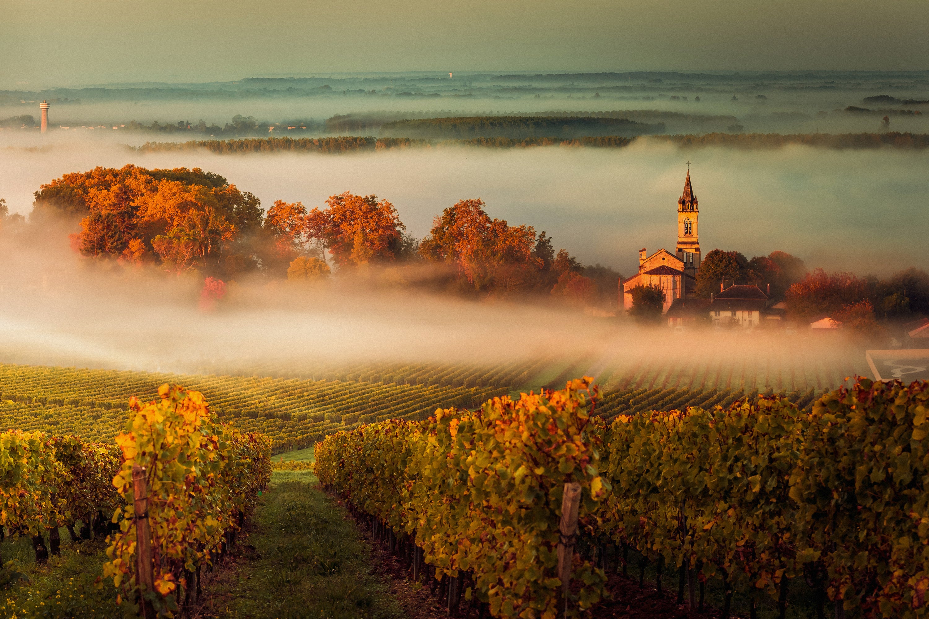 Bordeaux