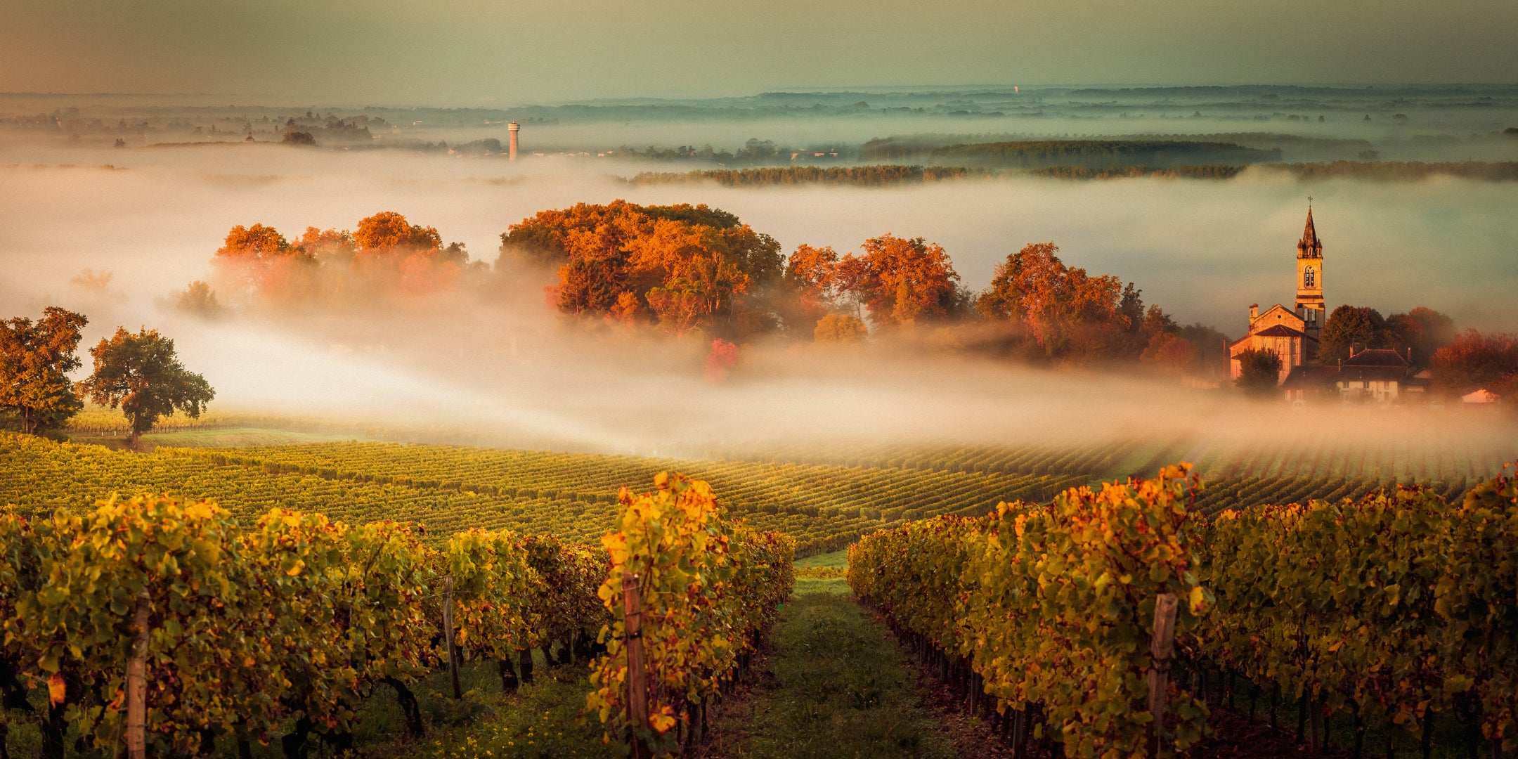Bordeaux 101