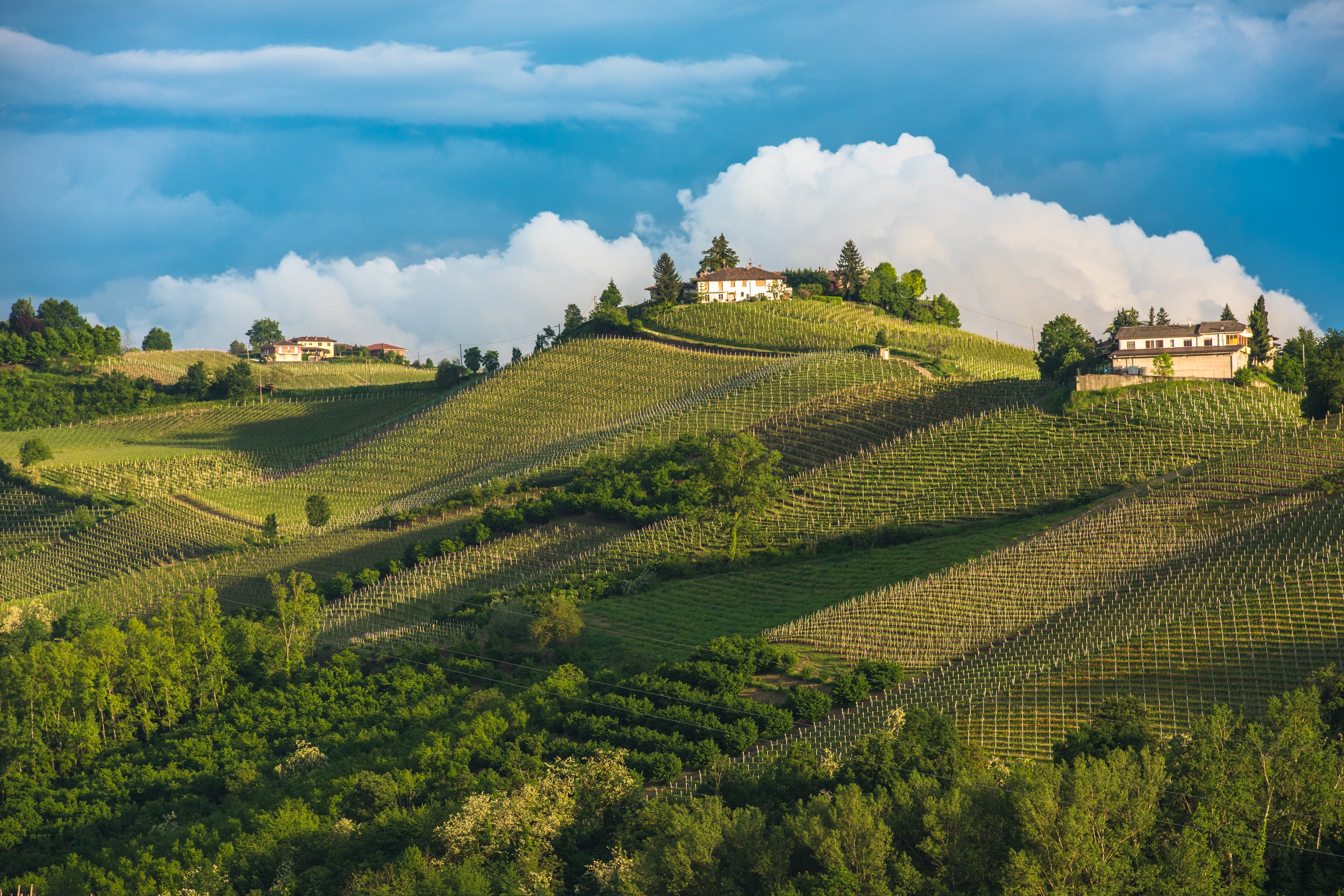 Piedmont