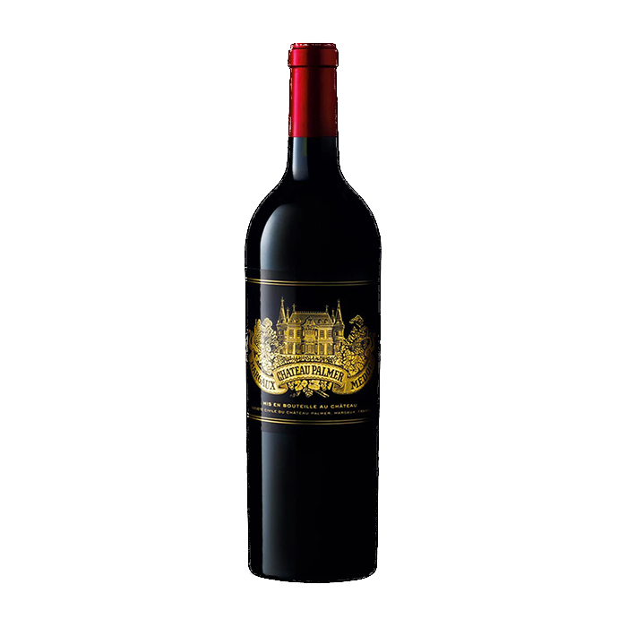 Palmer 2023 (6L)