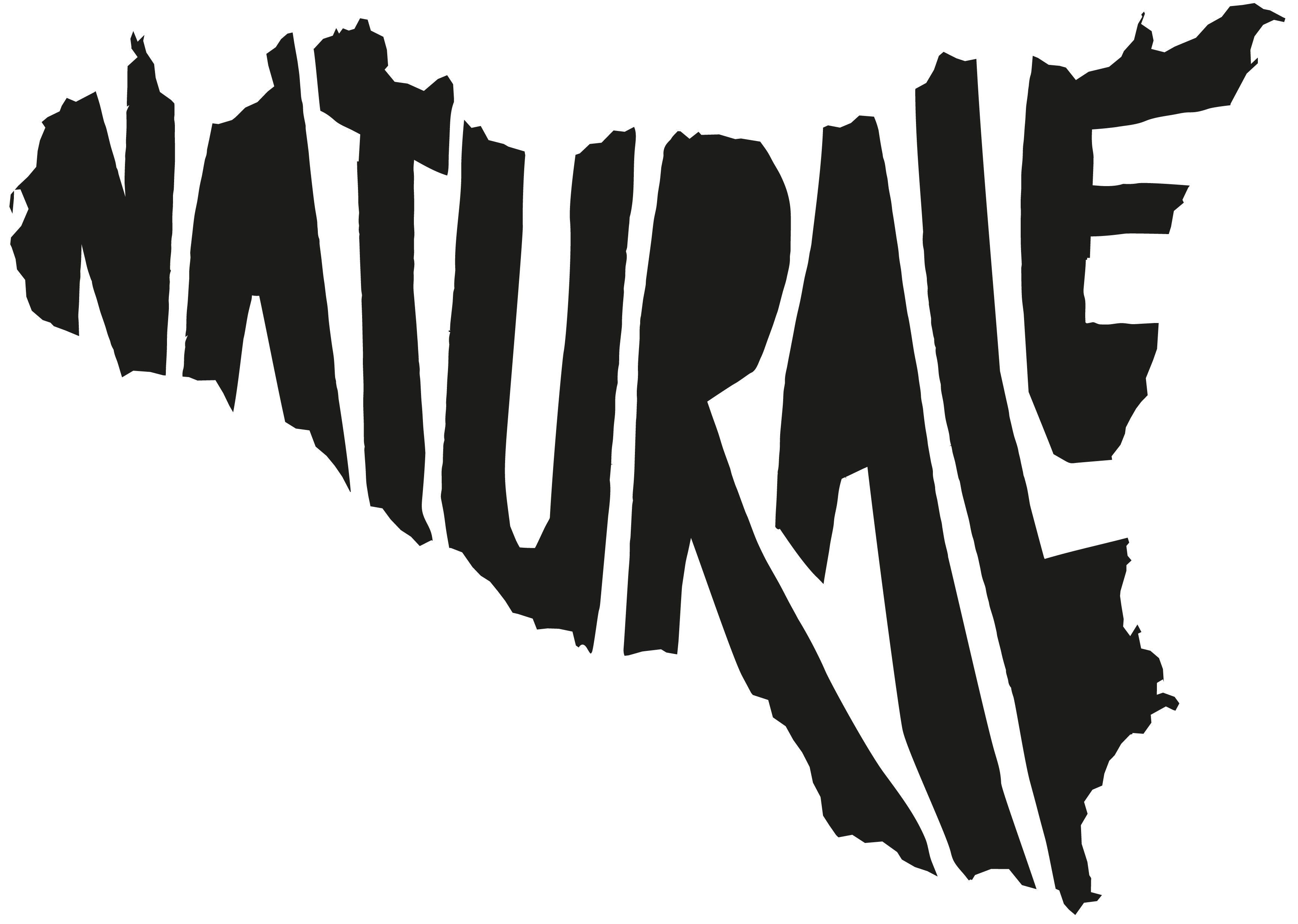 Naturale Orange Vermouth 2025 (750ML)