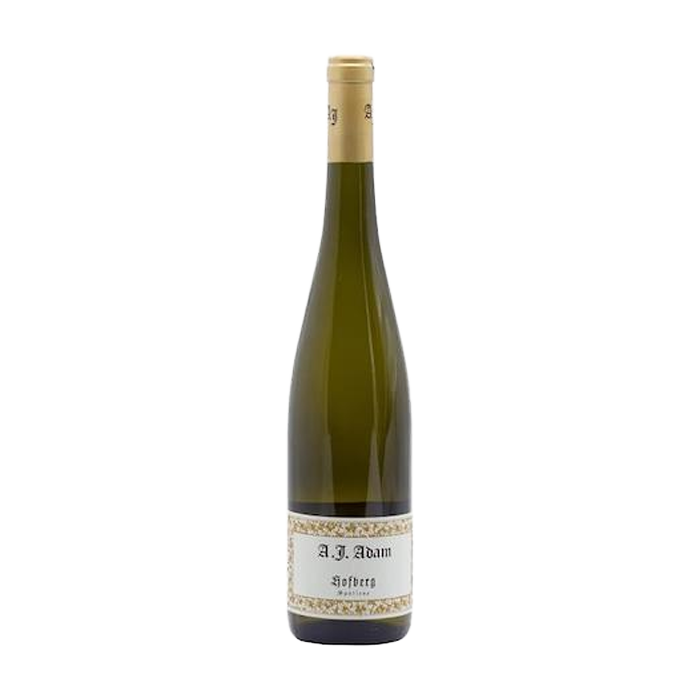 Riesling Spatlese Dhron Hogberg A. J. Adam 2022 (750ML)