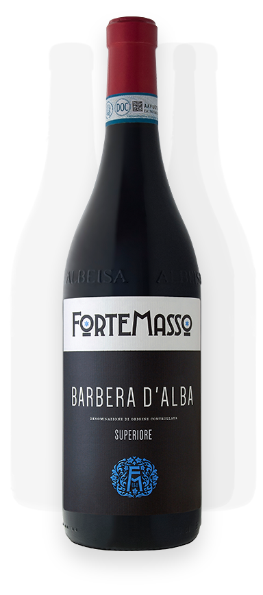 Barbera d'Alba Superiore Fortemasso 2022 (750ML)
