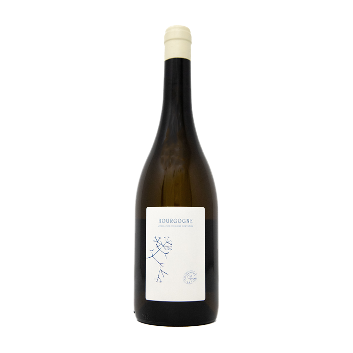 Bourgogne Blanc Guillaume Lafon 2024 (750ML)