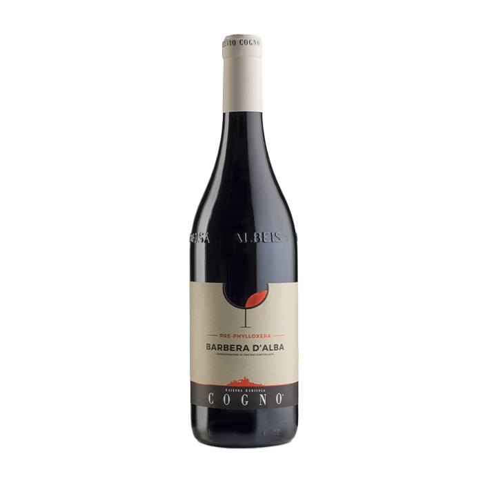 Barbera d'Alba Pre Phylloxera Elvio Cogno 2023 (750ML)