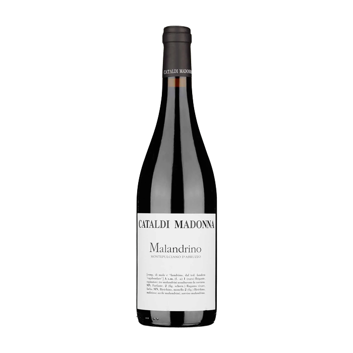 Montepulciano d'Abruzzo Madonna Cataldi 2024 (750ML)