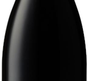 Dutton Goldfield Dutton Ranch Pinot Noir 2023 (750ML)