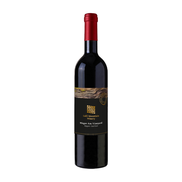 Galil Mountain Winery Cabernet Franc Misgav Am 2021 (750ML)