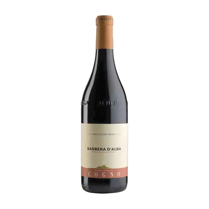 Barbera d'Alba Bricco Merli Elvio Cogno 2022 (750ML)