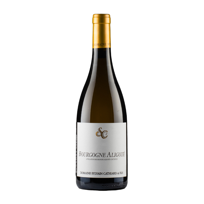 Bourgogne Aligote Sylvain Cathiard 2023 (750ML)