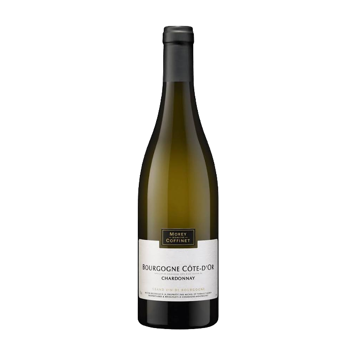Bourgogne Chardonnay Cote d'Or Morey-Coffinet 2024 (750ML)