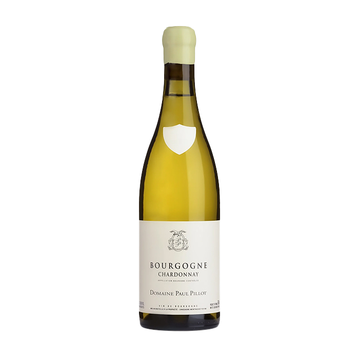 Bourgogne Blanc Paul Pillot 2023 (750ML)