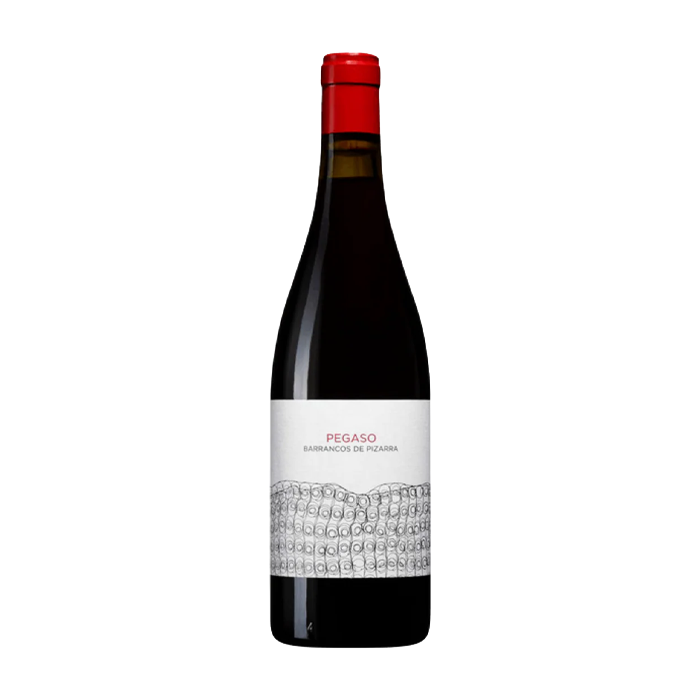 Castilla y Leon Barrancos de Pizarra Pegaso Telmo Rodriguez 2022 (750ML)