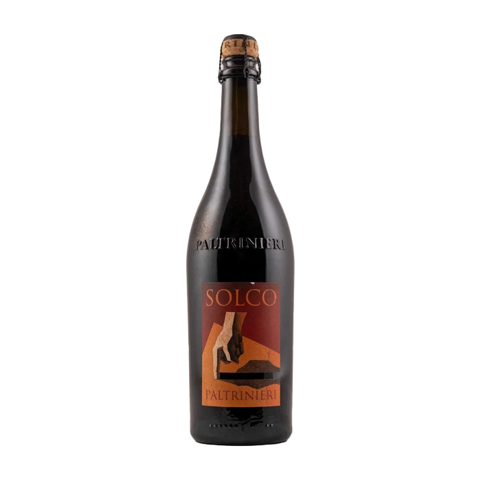 Lambrusco dell'Emilia Solco Paltrinieri 2024 (750ML)