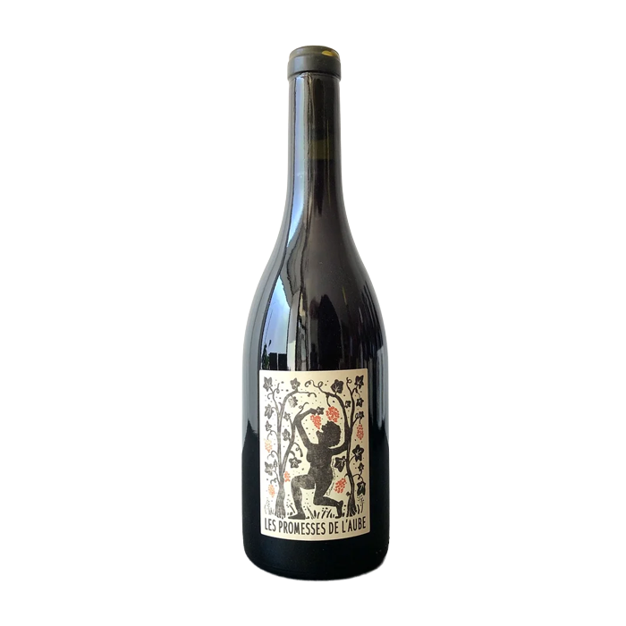 Salima & Alain Cordeuil Les Promesses de L'Aube Coteaux Champenois Rouge 2023 (750ML)