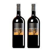 Gravner 2-Pack with 6 Glasses 2017 (1.5L)