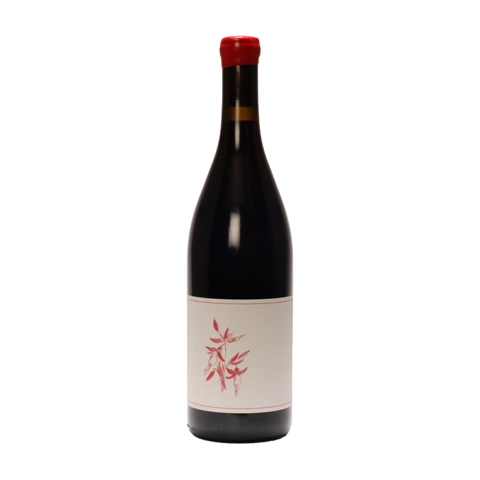 Arnot-Roberts Sonoma Coast Syrah 2024 (750ML)